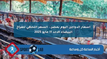 أسعار الدواجن اليوم بمصر.. السعر اللحظي للفراخ البيضاء الأحد 11 مايو 2025